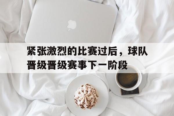 季后赛晋级球队 季后赛晋级球队